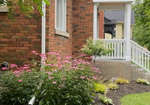 384-saint-marie-street-collingwood-ontario-s12561438
