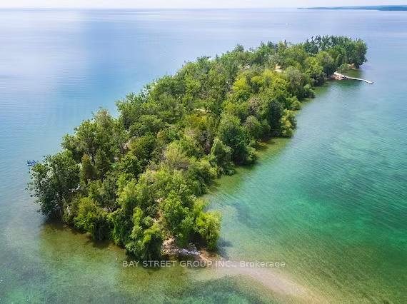 1000-goffatt-island-ramara-ontario-s12562972