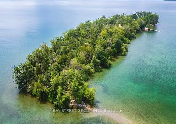 1000-goffatt-island-ramara-ontario-s12562972