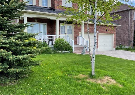 27-mair-mills-drive-collingwood-ontario-s12630954