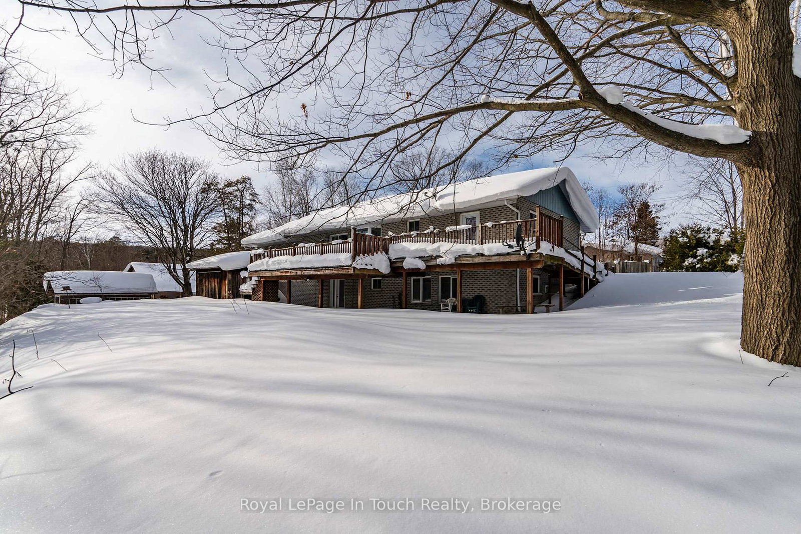 1-logmoss-road-tiny-ontario-s12788076