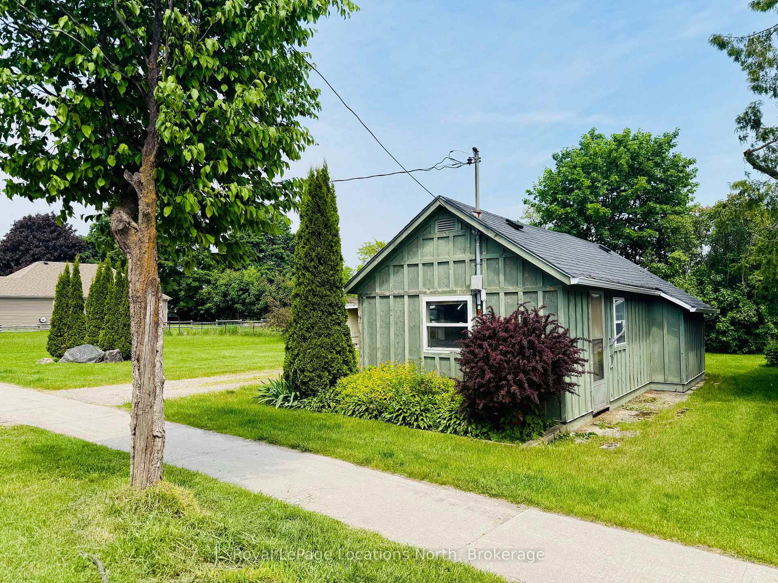 177-collingwood-street-clearview-ontario-s12790144