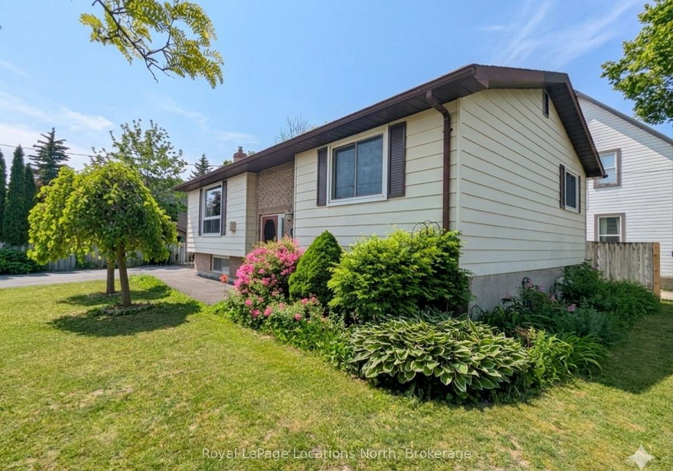 56-lorne-avenue-collingwood-ontario-s12890242