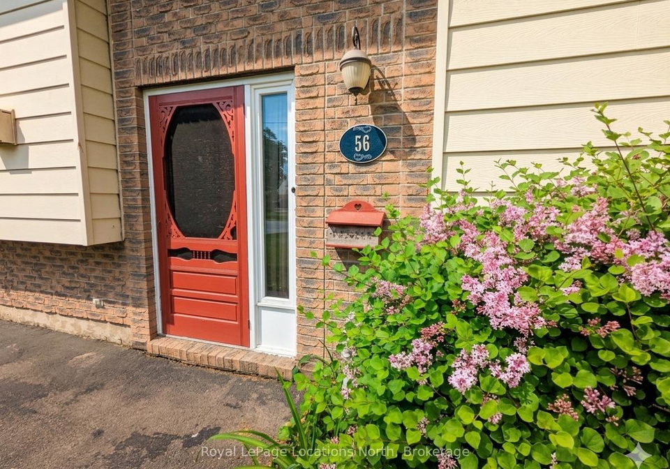 56-lorne-avenue-collingwood-ontario-s12890242