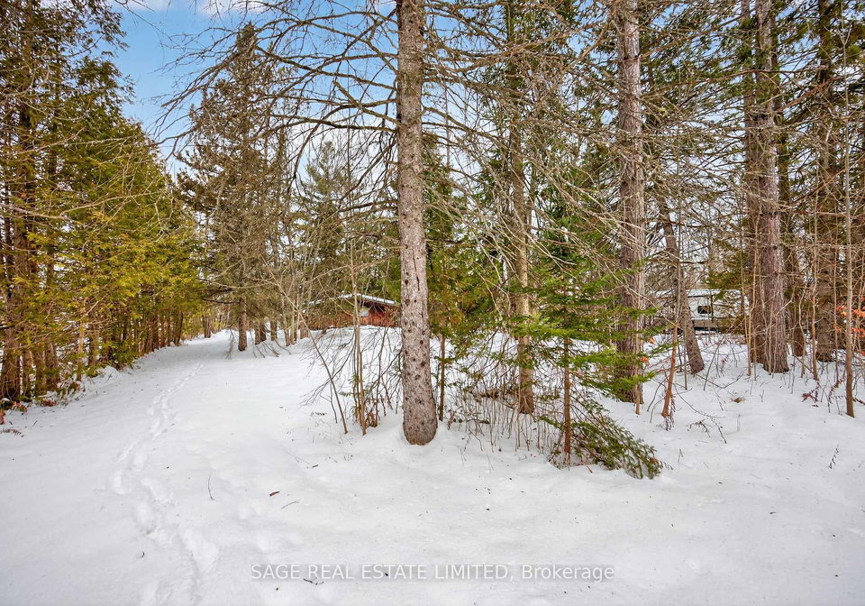 7856-birch-drive-ramara-ontario-s12900692