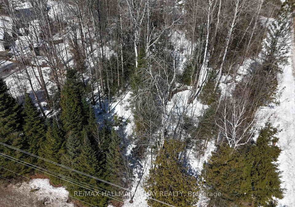 348-mount-st-louis-road-oro-medonte-ontario-s12960656