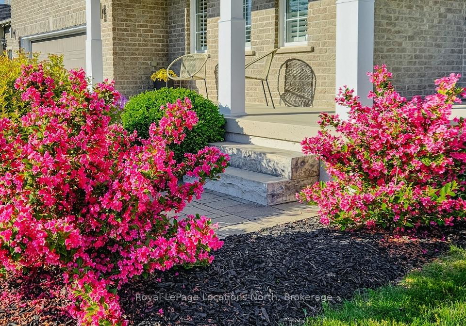 11-dance-street-collingwood-ontario-s12969704