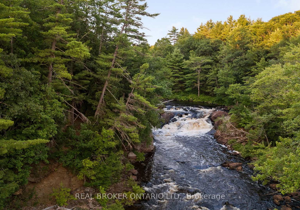 1401-coopers-falls-road-ramara-ontario-s12981630