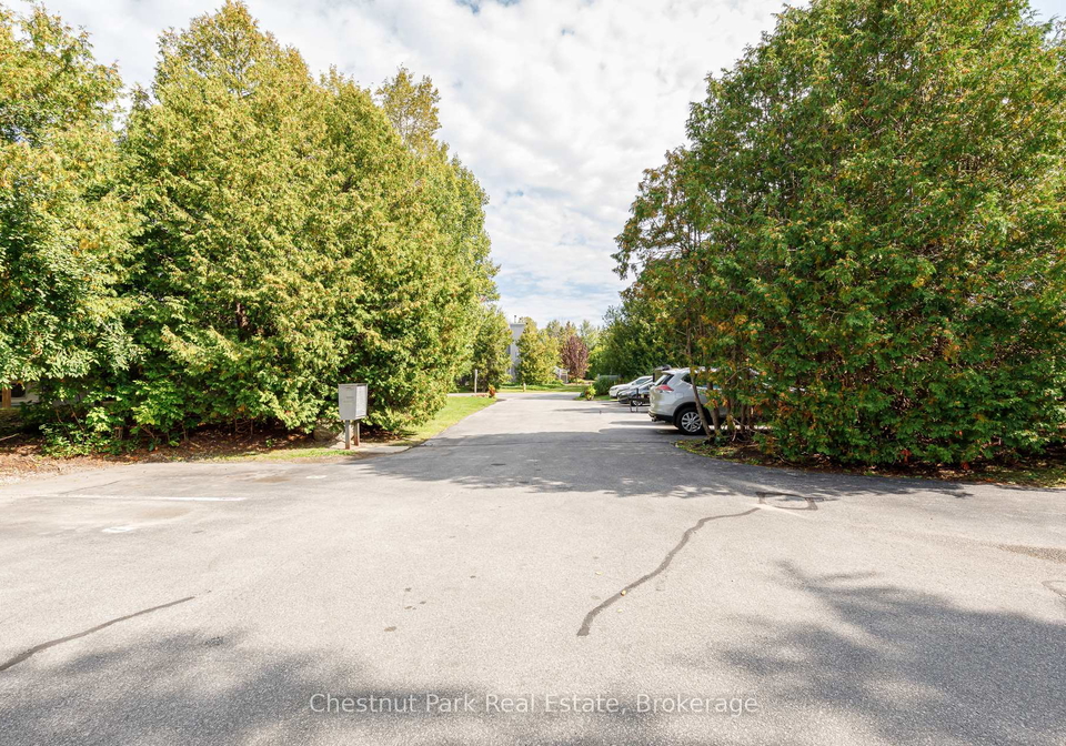 12-dawson-drive-collingwood-ontario-s12994736