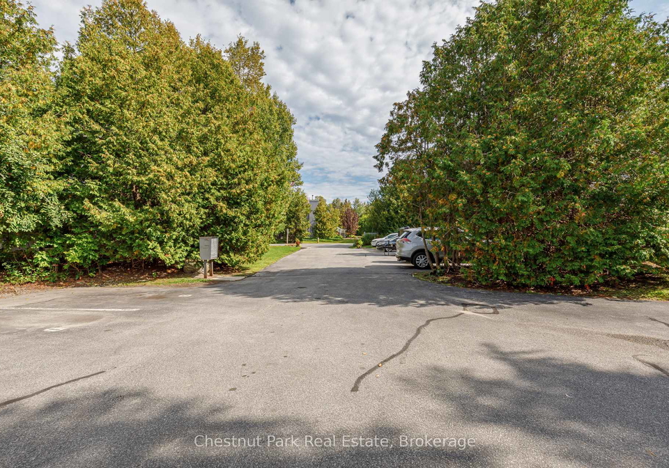 12-dawson-drive-collingwood-ontario-s12994736