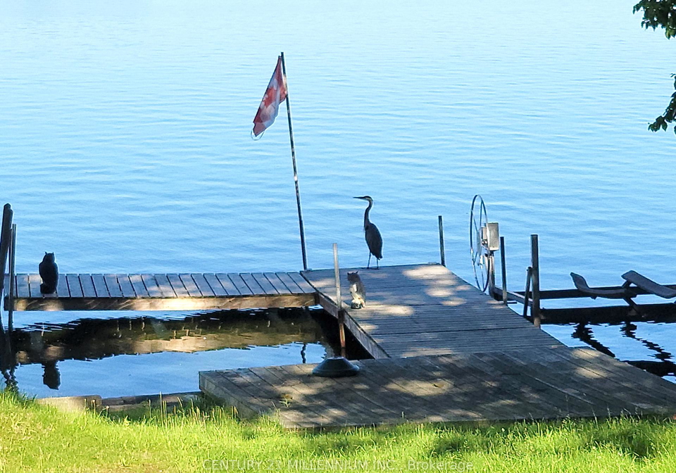 5996-mariposa-beach-road-ramara-ontario-s13037410