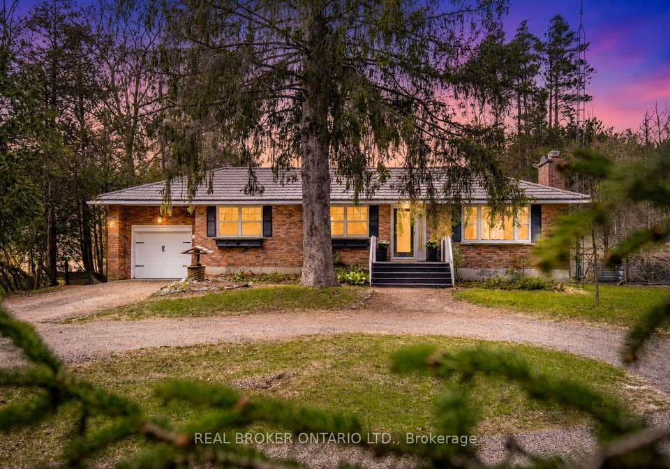12-alexander-street-springwater-ontario-s13077432