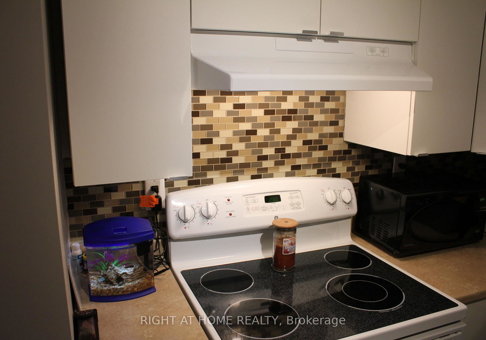 64-daphne-lower-crescent-barrie-ontario-s13146978