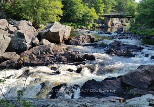 8101-kings-river-road-ramara-ontario-s13202896