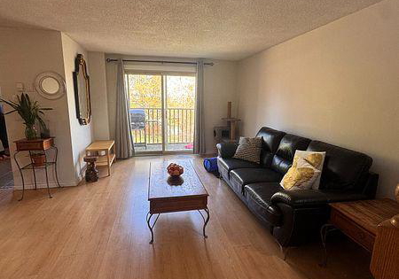 57-loggers-run-barrie-ontario-s13248878