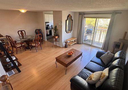 57-loggers-run-barrie-ontario-s13248878