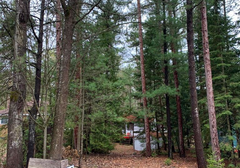 327-tiny-beaches-road-n-tiny-ontario-s13467164