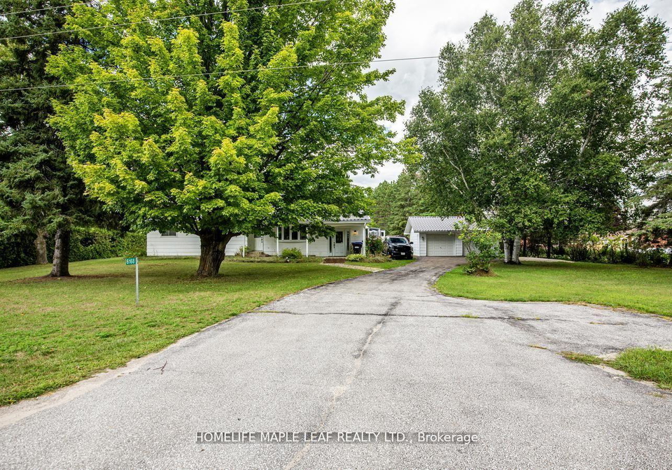 6168-county-road-9-clearview-ontario-s13473484
