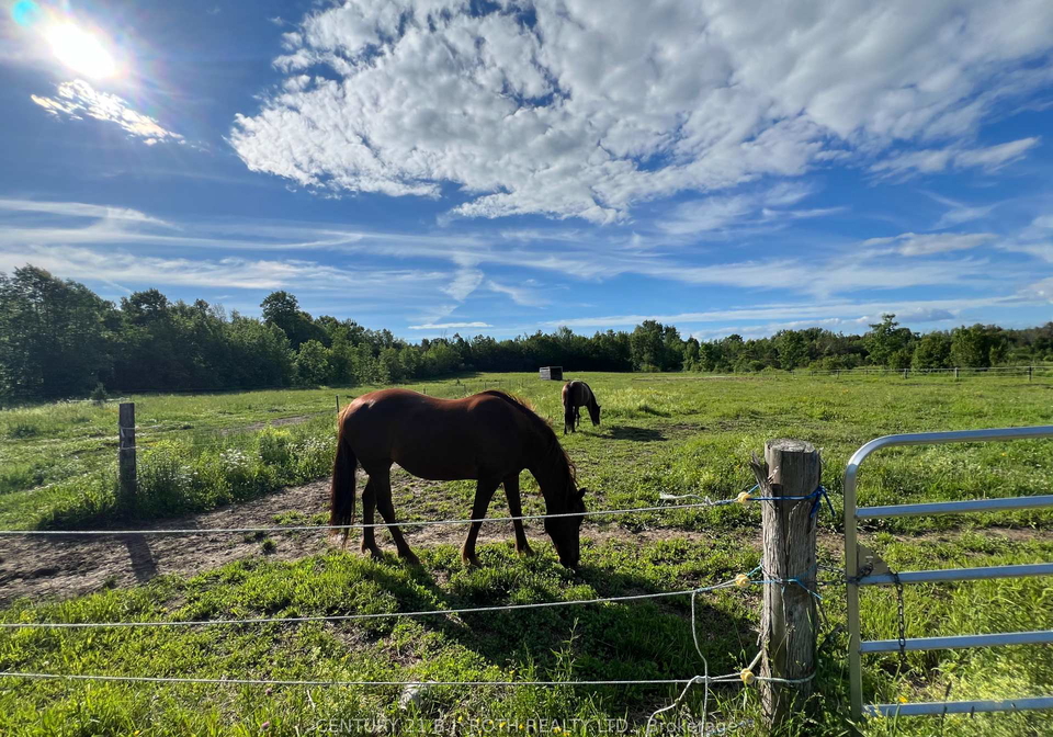 2266-foxmead-road-oro-medonte-ontario-s13485316