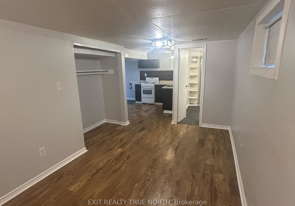 bsmt-134-innisfil-street-barrie-ontario-s13485960
