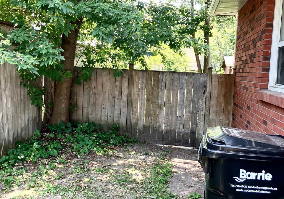 80-innisfil-street-barrie-ontario-s13584036