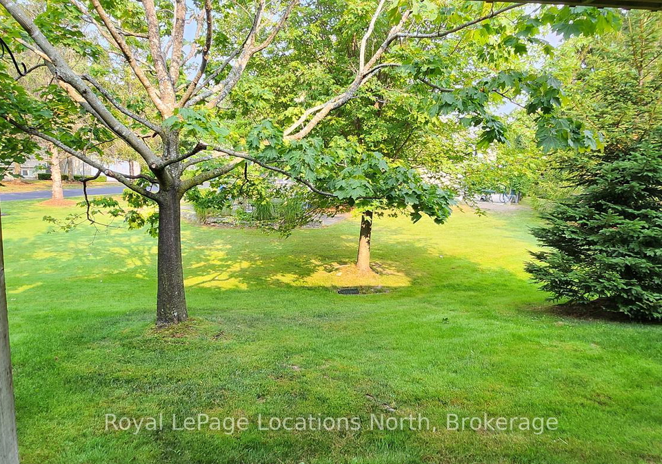 107-ellen-lane-collingwood-ontario-s13612786