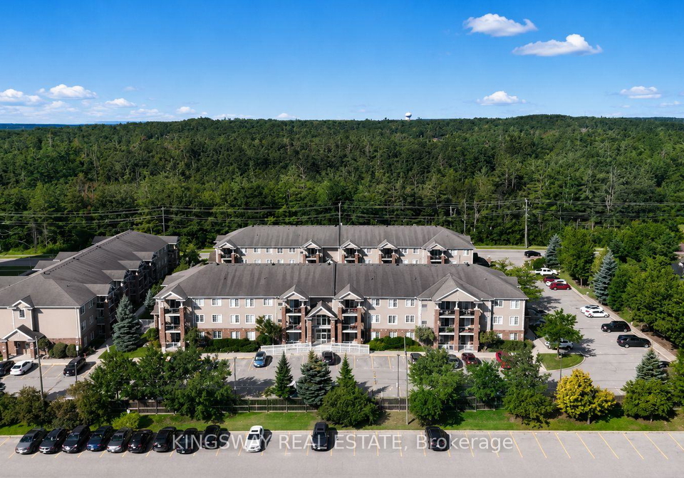 41-coulter-street-barrie-ontario-s13627922