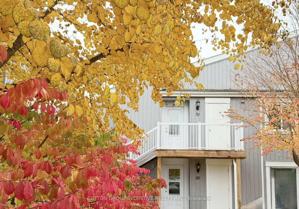19-dawson-drive-collingwood-ontario-s13658428