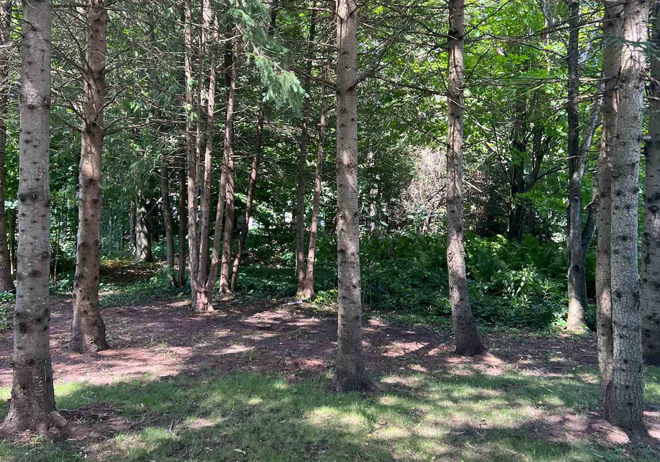 10-mill-street-w-springwater-ontario-s13698654