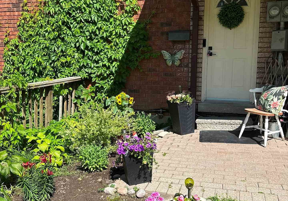47-loggers-run-barrie-ontario-s13708450