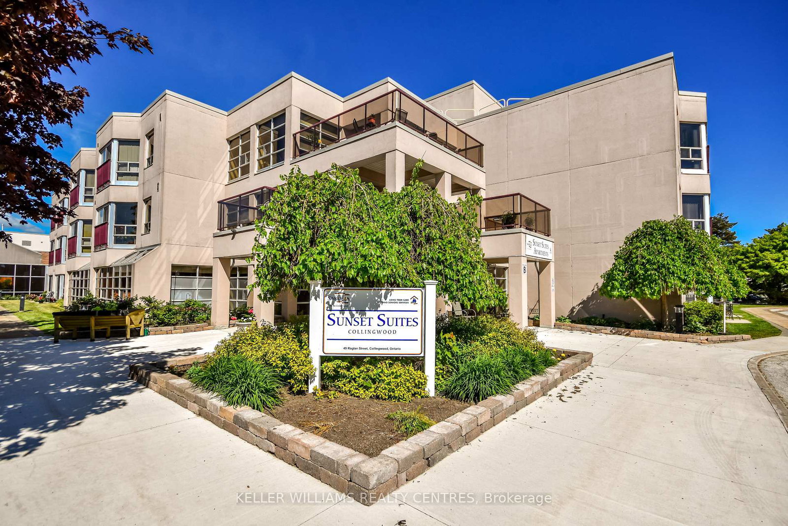 49-raglan-street-collingwood-ontario-s13716888