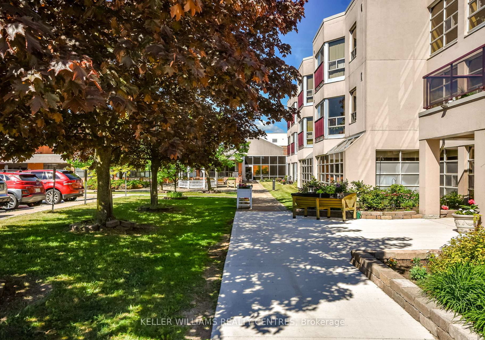 49-raglan-street-collingwood-ontario-s13716888