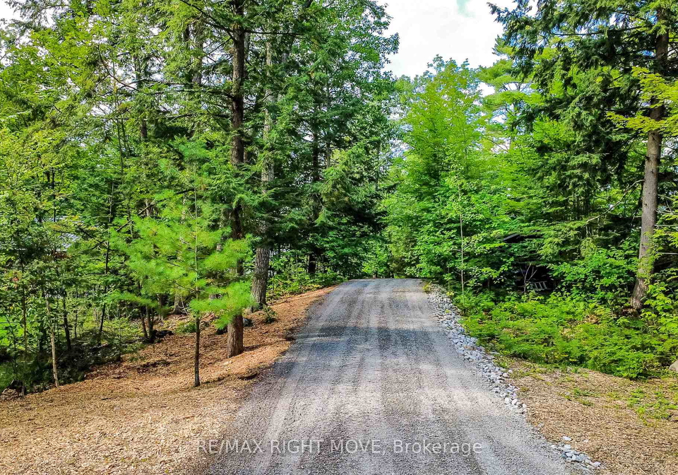 1643-baldy-lane-severn-ontario-s13728786