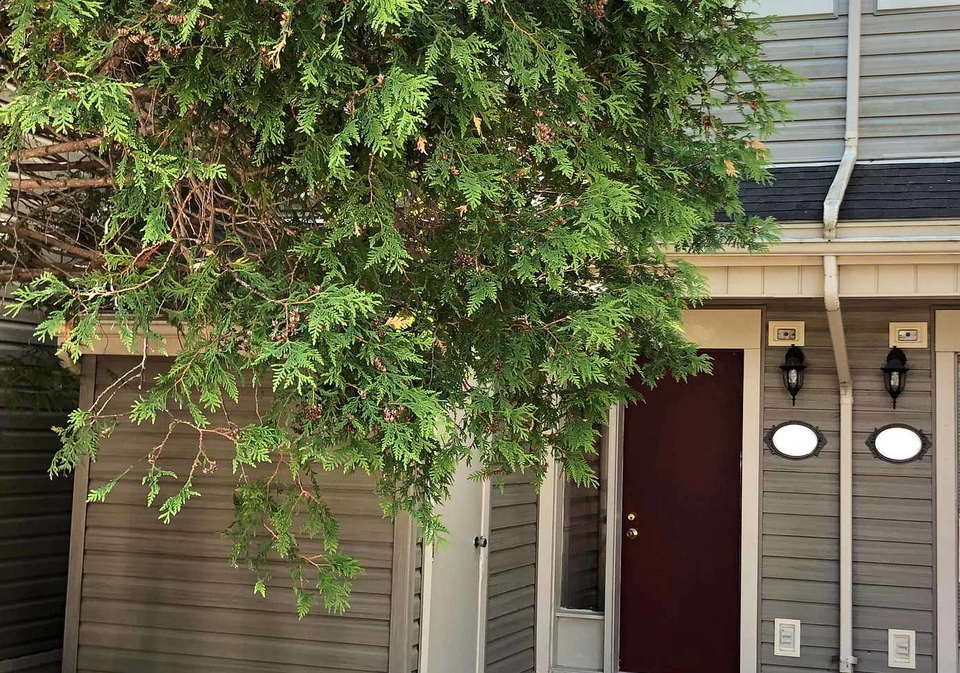 46oxbow-crescent-collingwood-ontario-s13752152