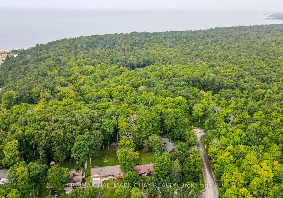 10-enchantment-avenue-tiny-ontario-s13753234