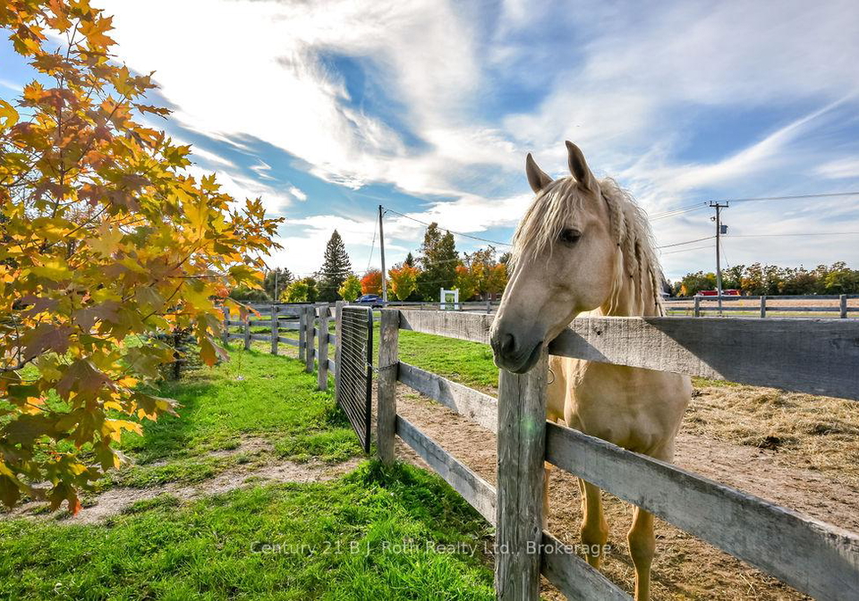 465-ridge-road-e-oro-medonte-ontario-s13764294