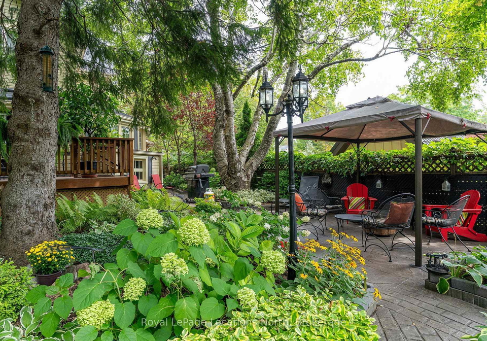 148-napier-street-collingwood-ontario-s13770492