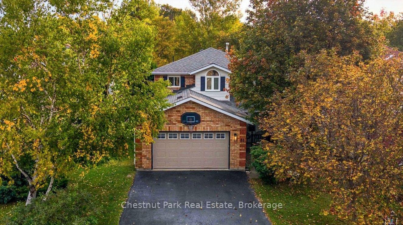 31-bush-street-collingwood-ontario-s13854776