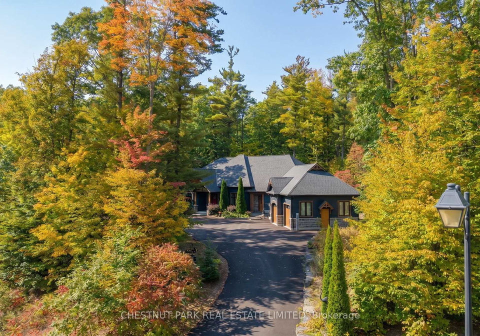 9-moran-street-springwater-ontario-s13854932