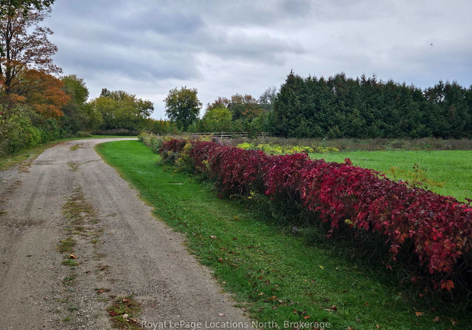 2939-92-county-road-springwater-ontario-s13857020
