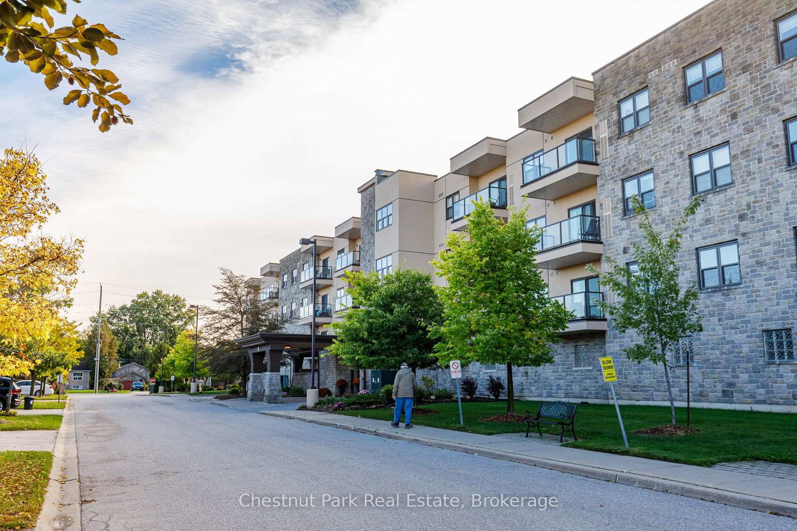 91-raglan-street-collingwood-ontario-s13864058
