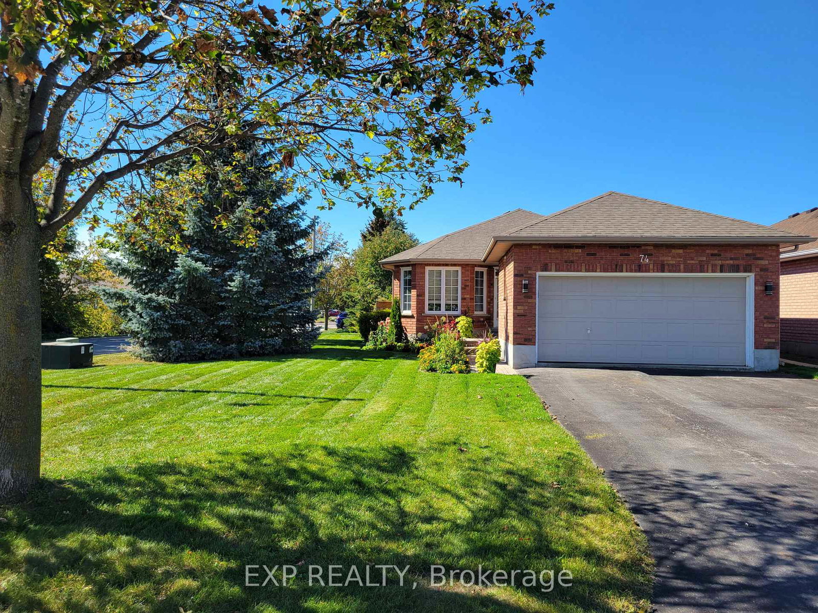 74-buchanan-street-barrie-ontario-s13865176