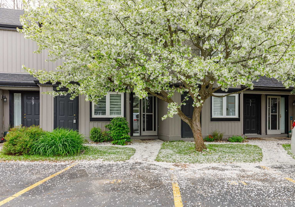 5-harbour-street-collingwood-ontario-s5635941