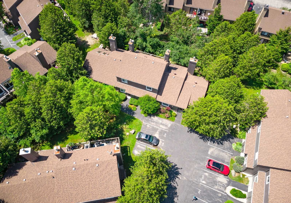 15-harbour-street-w-collingwood-ontario-s5693501