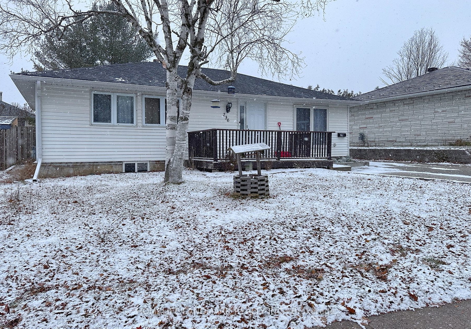 236-letitia-street-barrie-ontario-s7337256