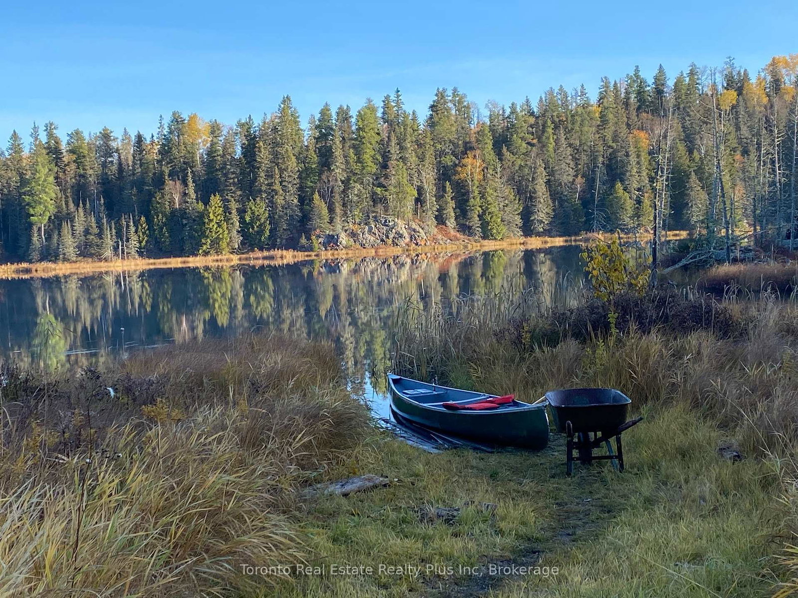 l10c6-otto-township-timiskaming-remote-area-ontario-t11890473