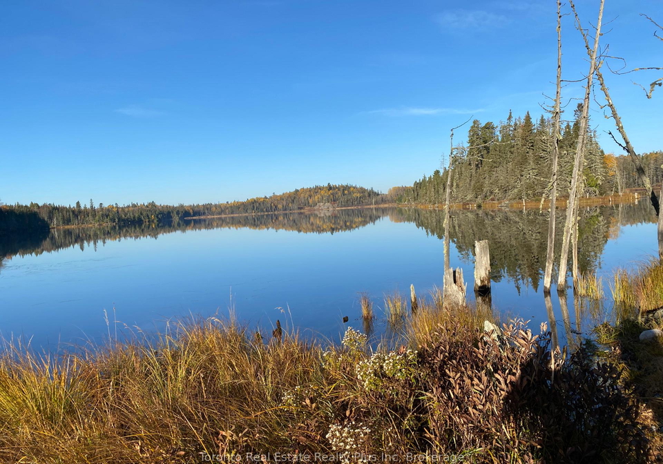 l10c6-otto-township-timiskaming-remote-area-ontario-t11890473