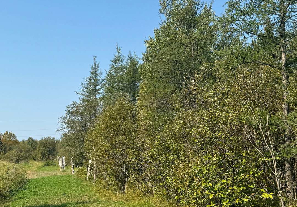 789-highway-652-e-cochrane-ontario-t11957092