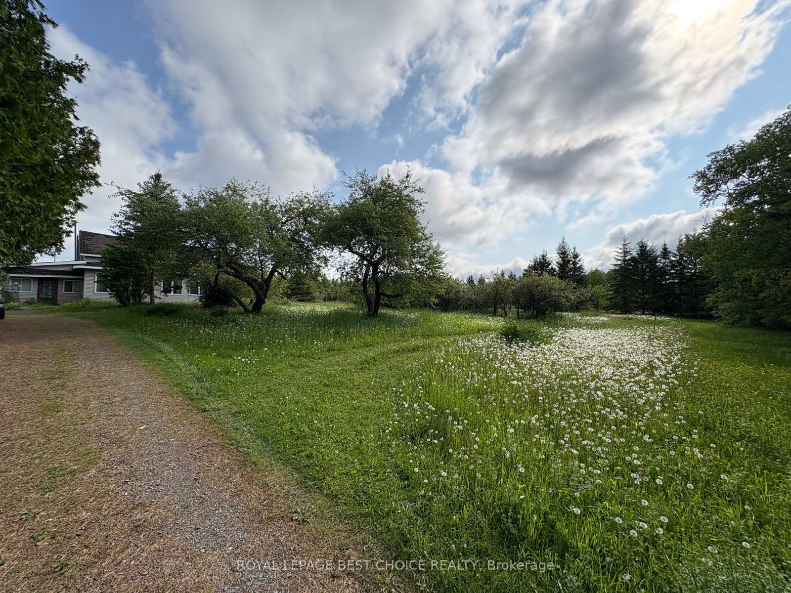 964253-development-road-harley-ontario-t12225959