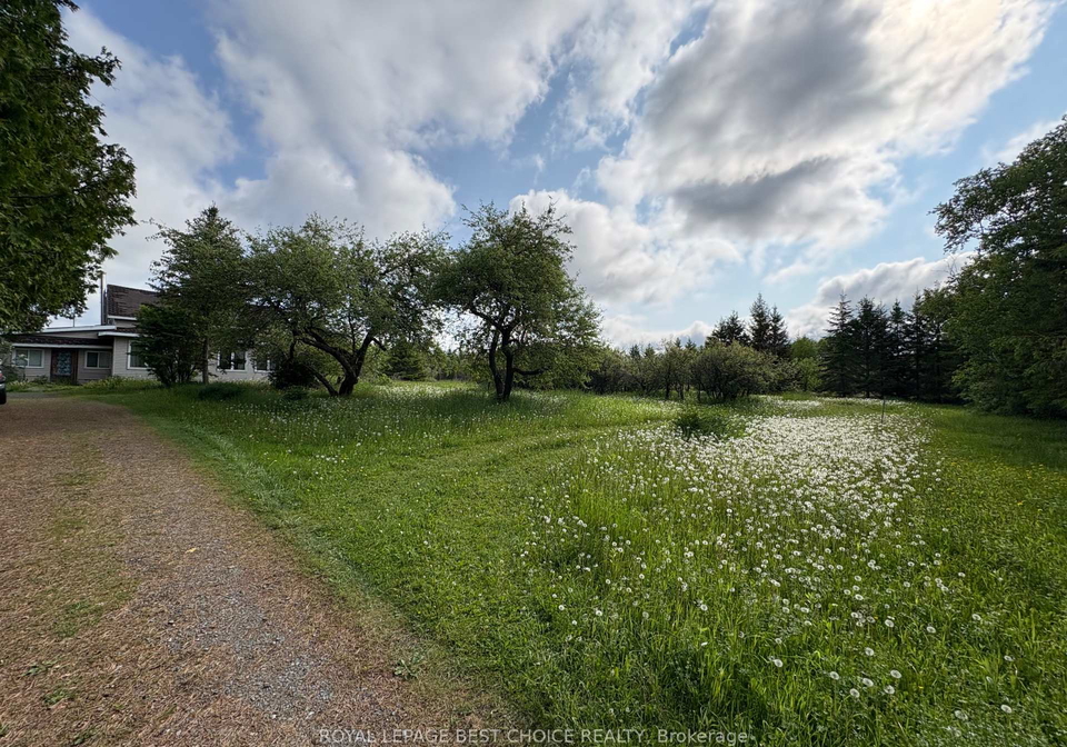 964253-development-road-harley-ontario-t12225959